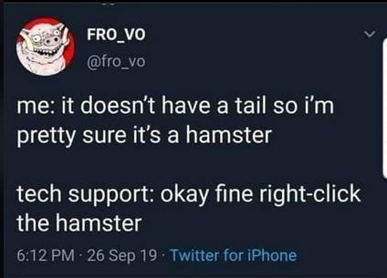 FRO_VO fro_vo me it doesnt have a tail so im B ATCHIISENEIS tech support okay fine right click LUELEINE Gl 612 PM 26 Sep 19 Twitter for iPhone