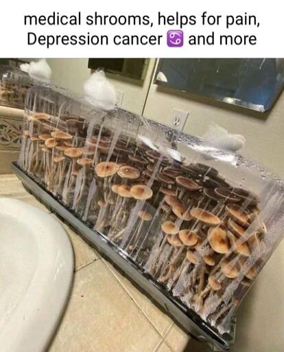medical shrooms helps for pain Depression cancer and more