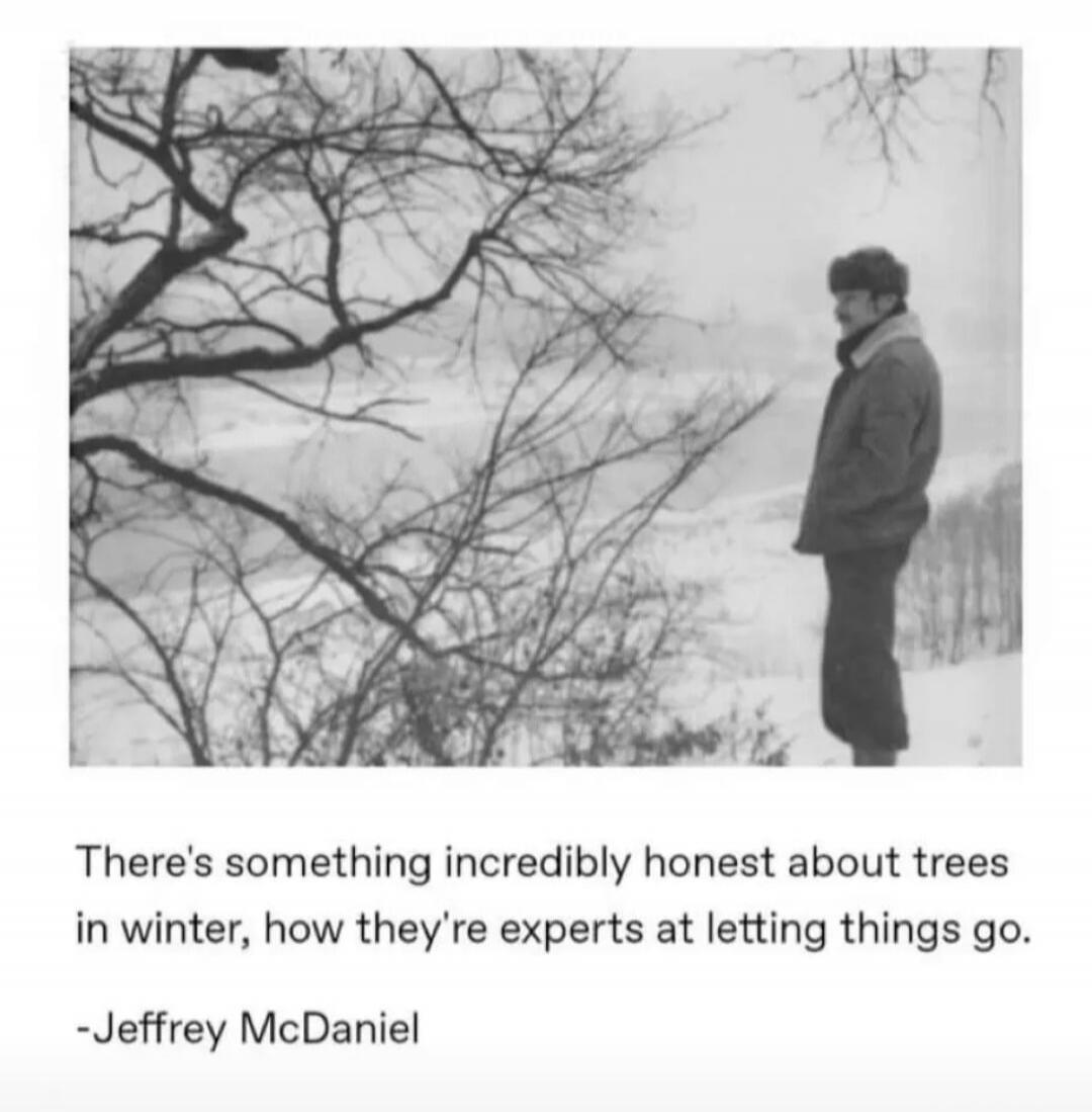 There's something incredibly honest about trees in winter, how they're experts at letting things go. -Jeffrey McDaniel