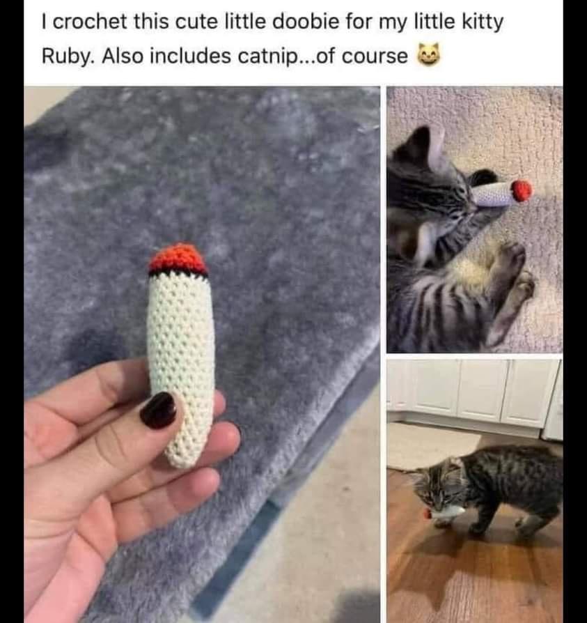 crochet this cute little doobie for my little kitty Ruby Also includes catnipof course