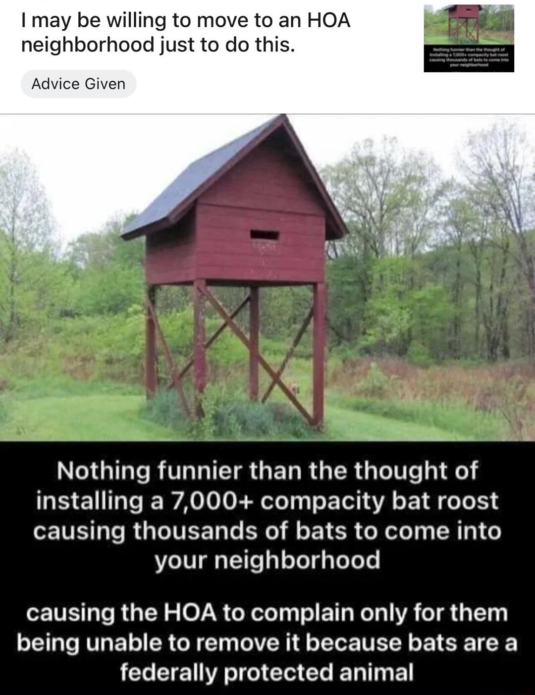 rffuckHoa T corbantd I may be willing to move to an HOA neighborhood just to do this Advice Given NG RIS GELRGER G 11 installing a 7000 compacity bat roost R RGUITEE T BRI EYCR Gl o SR 131 4 your neighborhood causing the HOA to complain only for them being unable to remove it because bats are a LCL CIE IR TG CI Gl T T F