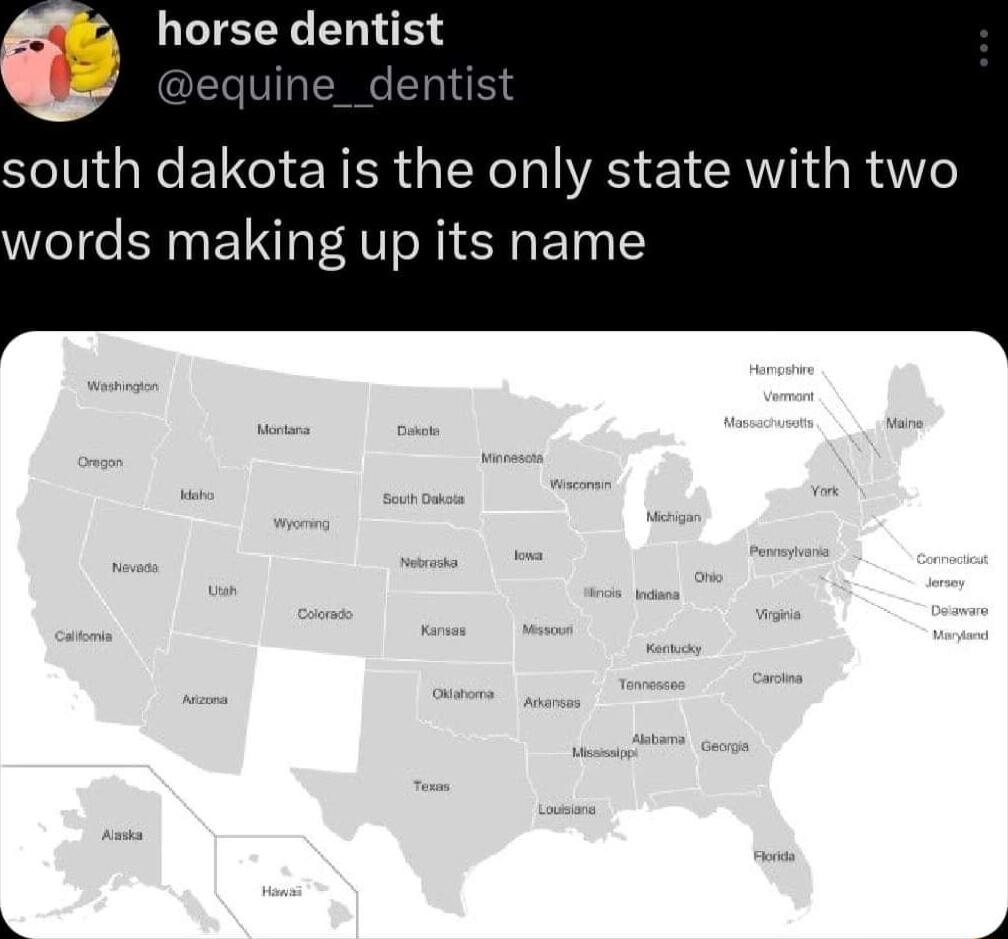 horse dentist equine__dentist dakota is the only state with two words making up its name