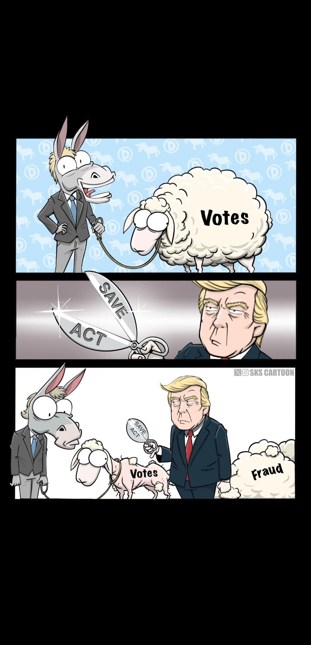 The cartoon depicts a donkey representing the Democratic party leading a sheep labeled 'Votes'. In the second panel, scissors labeled 'SAVE ACT' are shown cutting something. In the third panel, Donald Trump is shown holding the scissors, and the sheep, now labeled 'Votes', is being led towards a cloud labeled 'Fraud'.