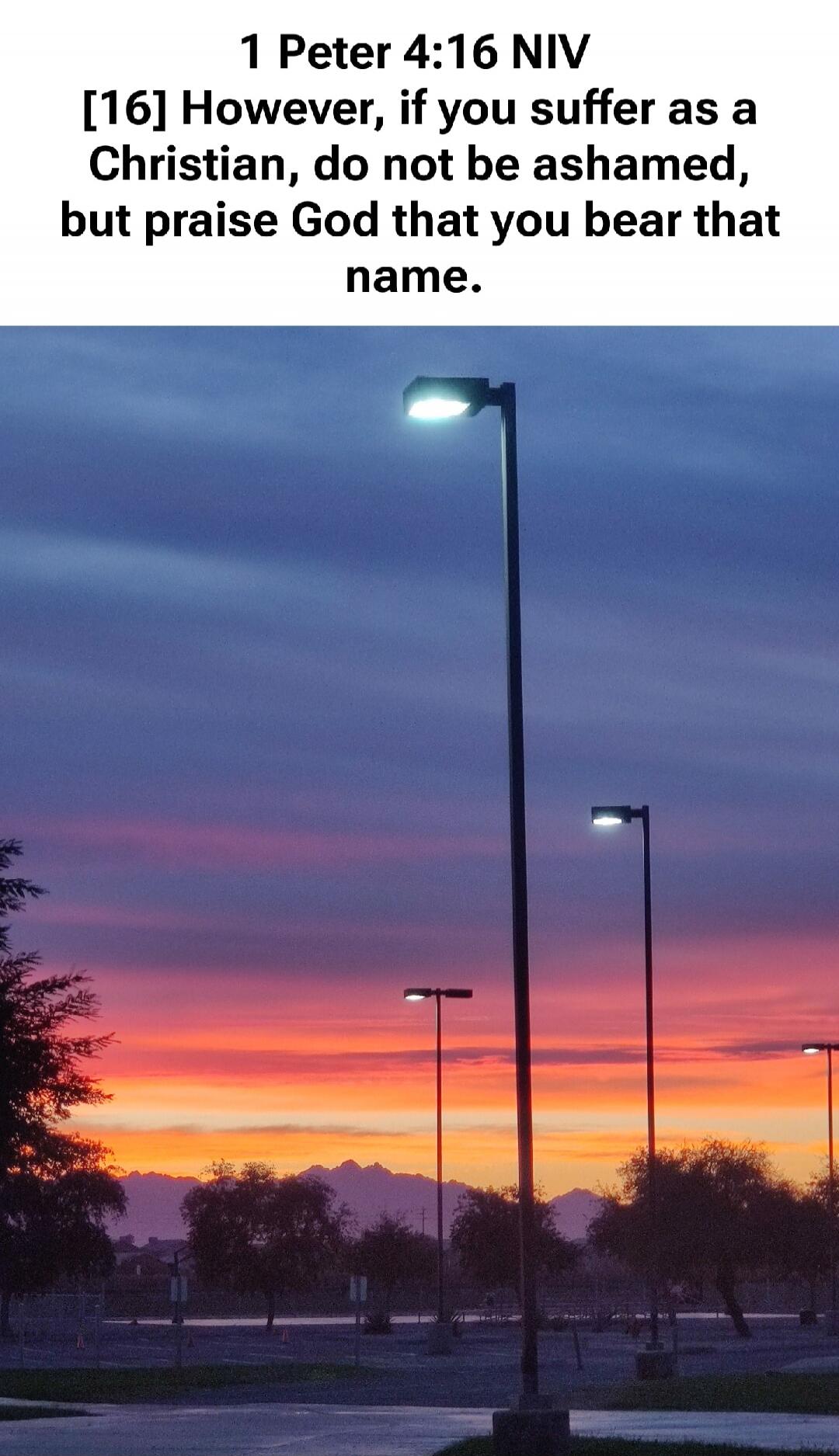 1 Peter 4:16 NIV [16] However, if you suffer as a Christian, do not be ashamed, but praise God that you bear that name.