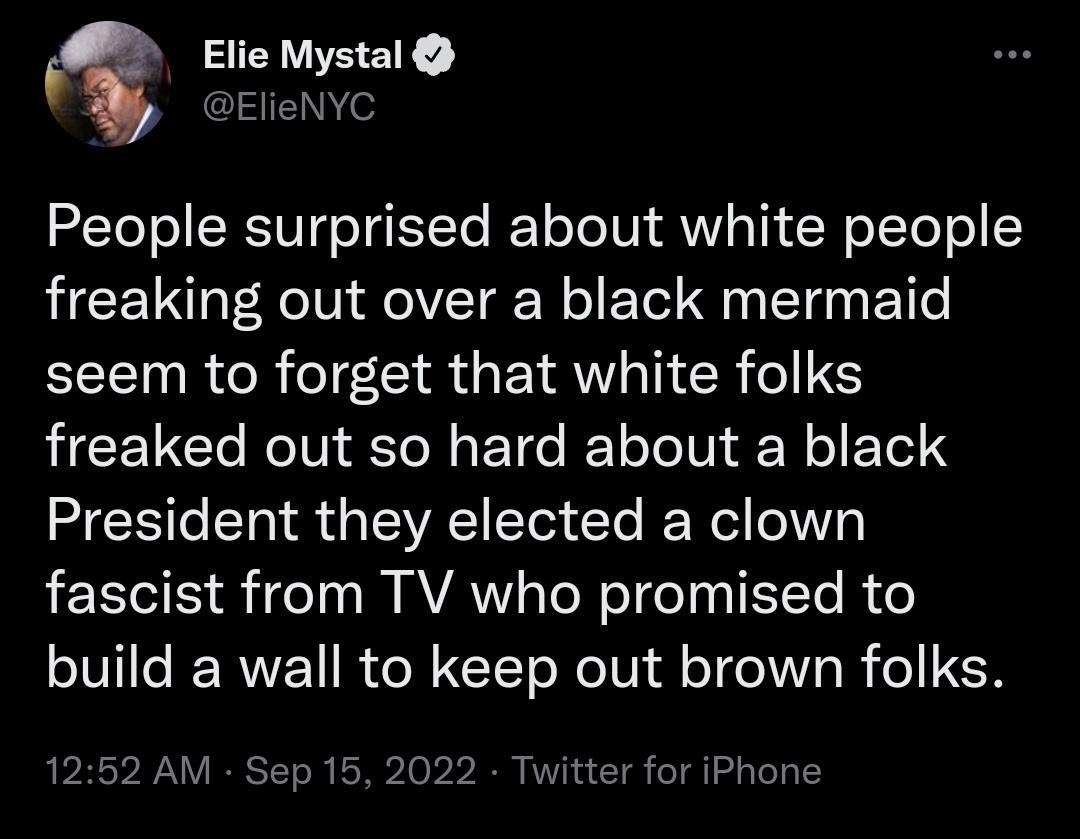 Q ie Mystal N o People surprised about white people freaking out over a black mermaid seem to forget that white folks freaked out so hard about a black President they elected a clown fascist from TV who promised to build a wall to keep out brown folks AM Sep 15 2022 or iPhone 4936 Retweets 165 Quote Tweets 324K Likes e L 4