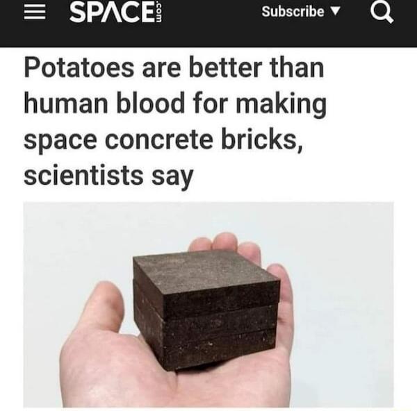 o 3 Subscribe Potatoes are better than human blood for making space concrete bricks scientists say