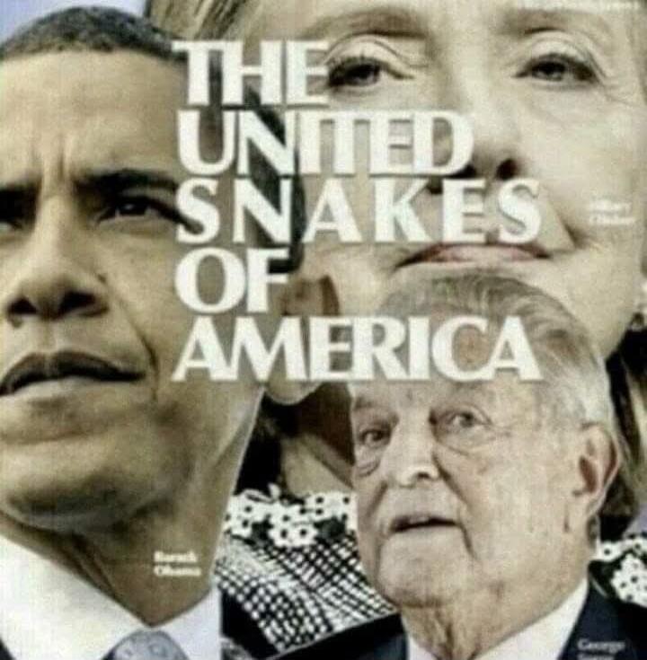 THE UNITED SNAKES OF AMERICA