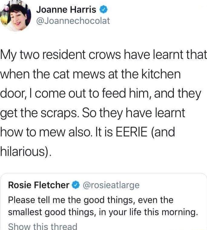 Joanne Harris Joannechocolat My two resident crows have learnt that when the cat mews at the kitchen door come out to feed him and they get the scraps So they have learnt how to mew also It is EERIE and hilarious Rosie Fletcher rosieatlarge Please tell me the good things even the smallest good things in your life this morning Show this thread
