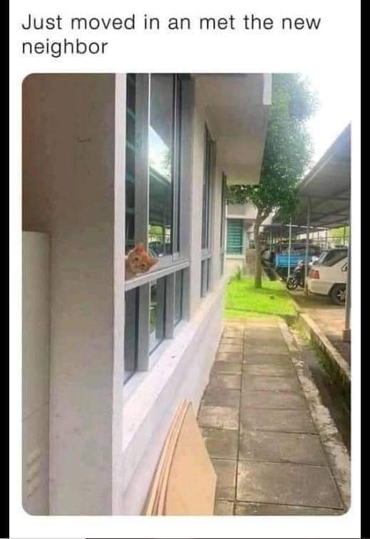 Just moved in an met the new neighbor