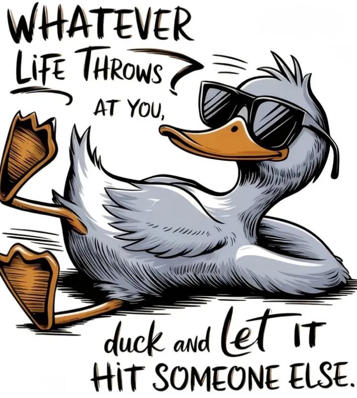 WHATEVER LIFE THROWS AT YOU, duck and LET IT HIT SOMEONE ELSE