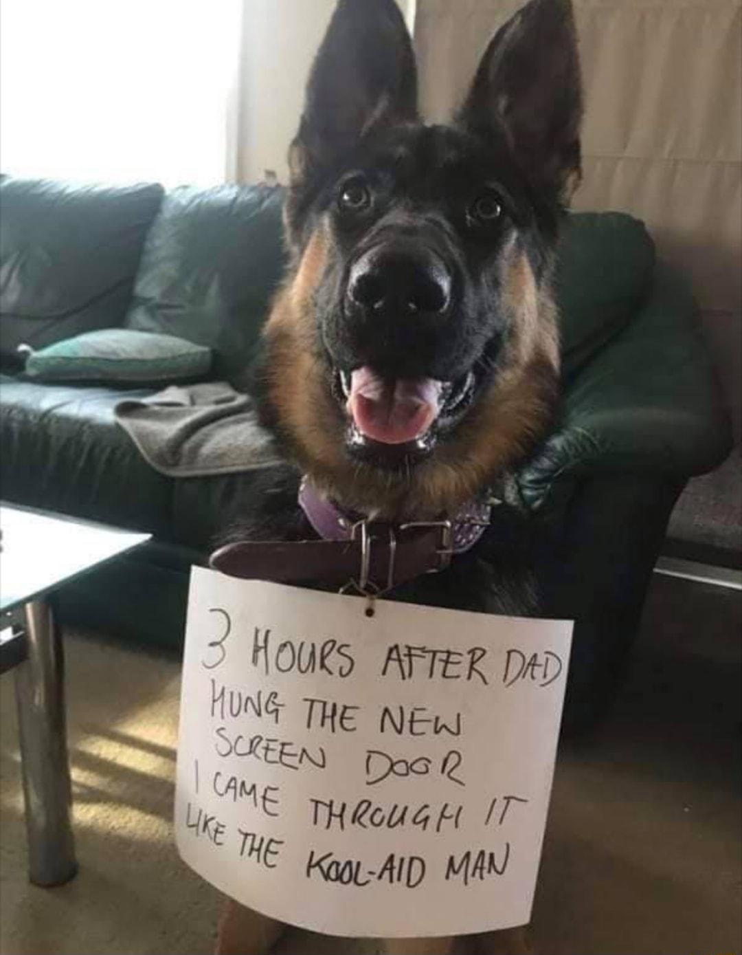 JEN Doag m M Weougt I E g A MAY