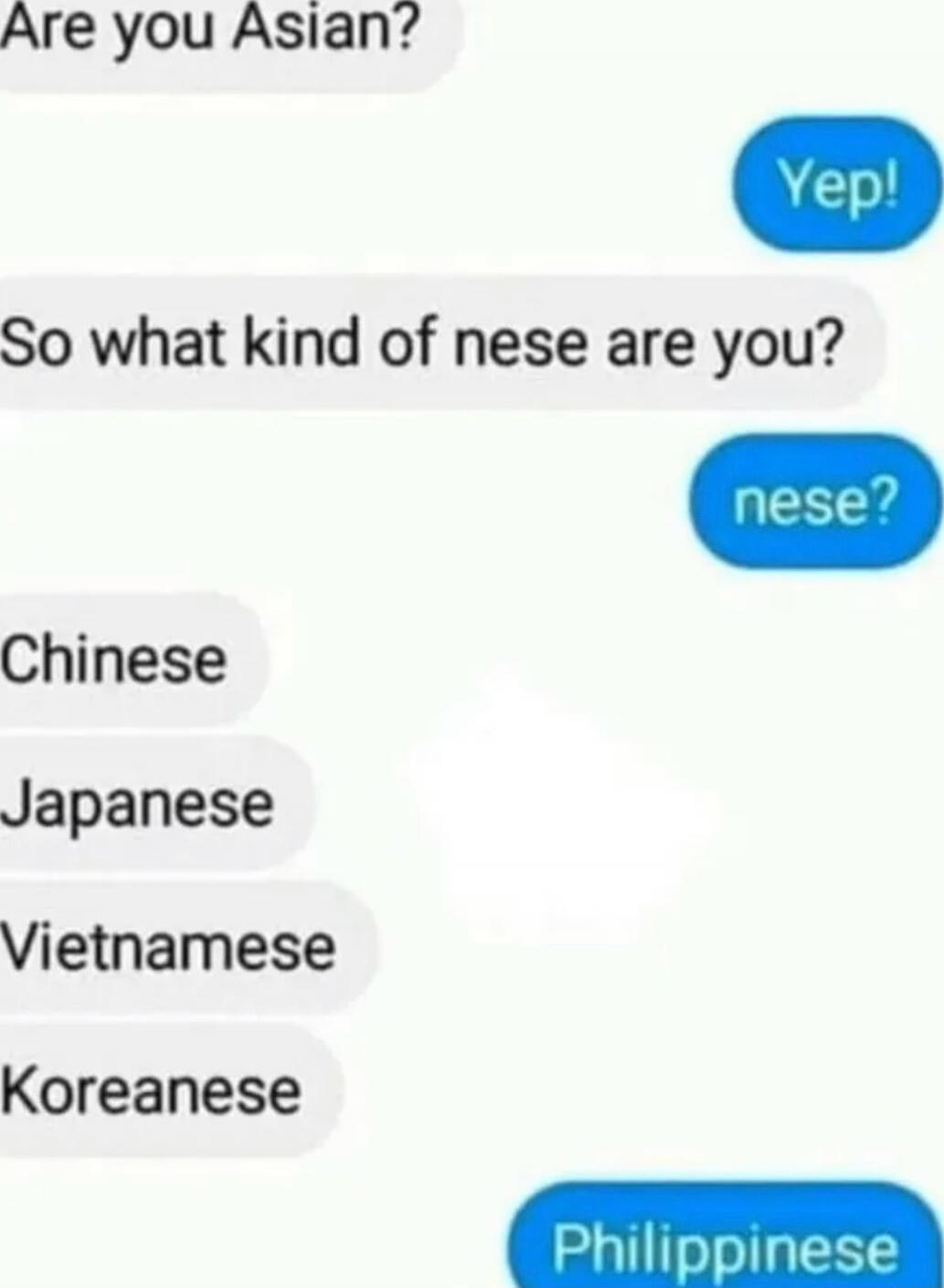 Are you Asian?
Yep!
So what kind of nesse are you?
nese?
Chinese
Japanese
Vietnamese
Koreanese
Philippinese
