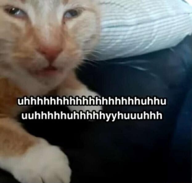 uhhhhhhhhhhhhhhhhhhuhhu uuhhhhhuhhhhhyyhuuuhhh