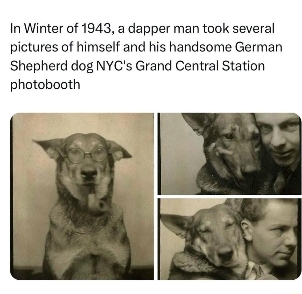 In Winter of 1943 a dapper man took several pictures of himself and his handsome German Shepherd dog NYCs Grand Central Station photobooth