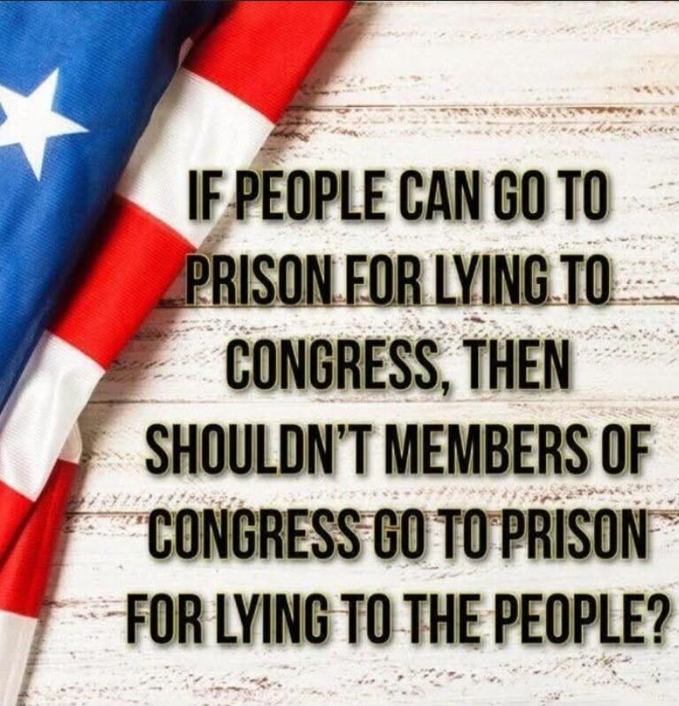 IF PEOPLE CAN GO TO PRISON FOR LYING TO CONGRESS, THEN SHOULDN'T MEMBERS OF CONGRESS GO TO PRISON FOR LYING TO THE PEOPLE?