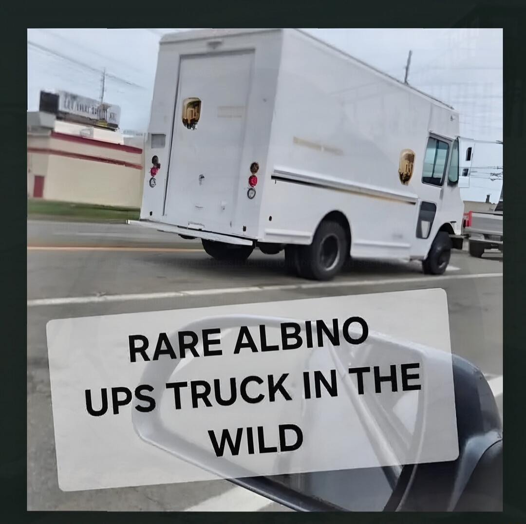 RARE ALBINO UPS TRUCK IN THE WILD