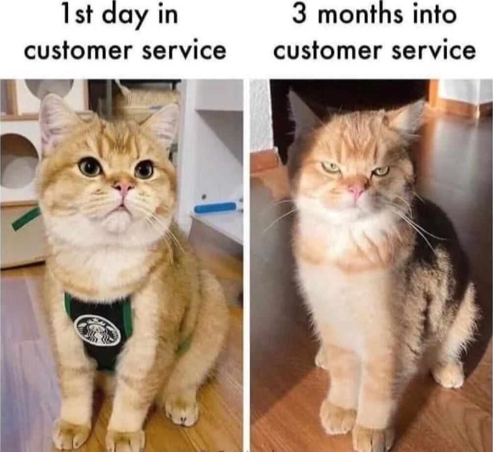 1st day in 3 months into customer service customer service