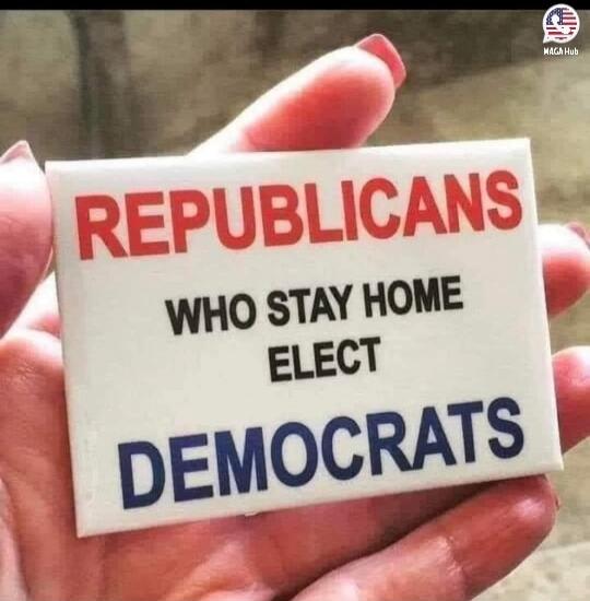 REPUBLICANS WHO STAY HOME ELECT DEMOCRATS MAGA Hub