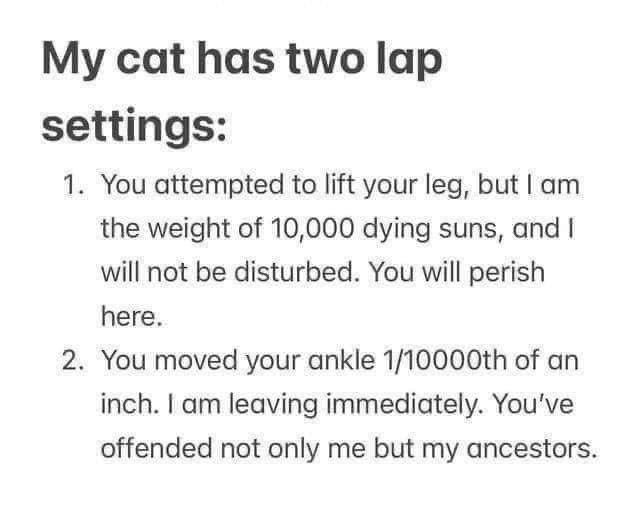 My cat has two lap settings 1 You attempted to lift your leg but am the weight of 10000 dying suns and will not be disturbed You will perish here 2 You moved your ankle 110000th of an inch am leaving immediately Youve offended not only me but my ancestors