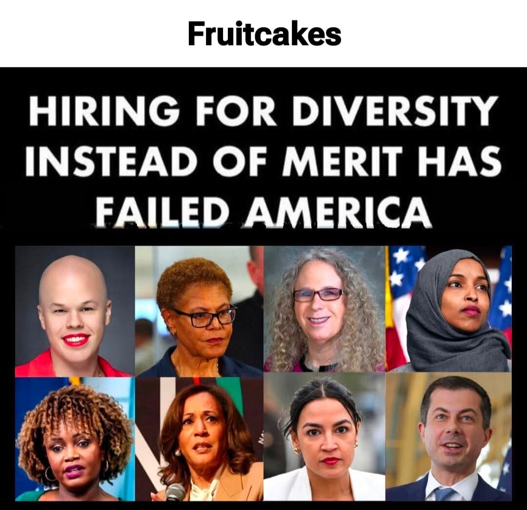 Fruitcakes. HIRING FOR DIVERSITY INSTEAD OF MERIT HAS FAILED AMERICA.