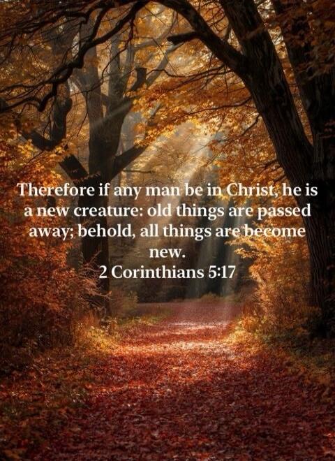 Therefore if any man be in Christ, he is a new creature: old things are passed away; behold, all things are become new. 2 Corinthians 5:17