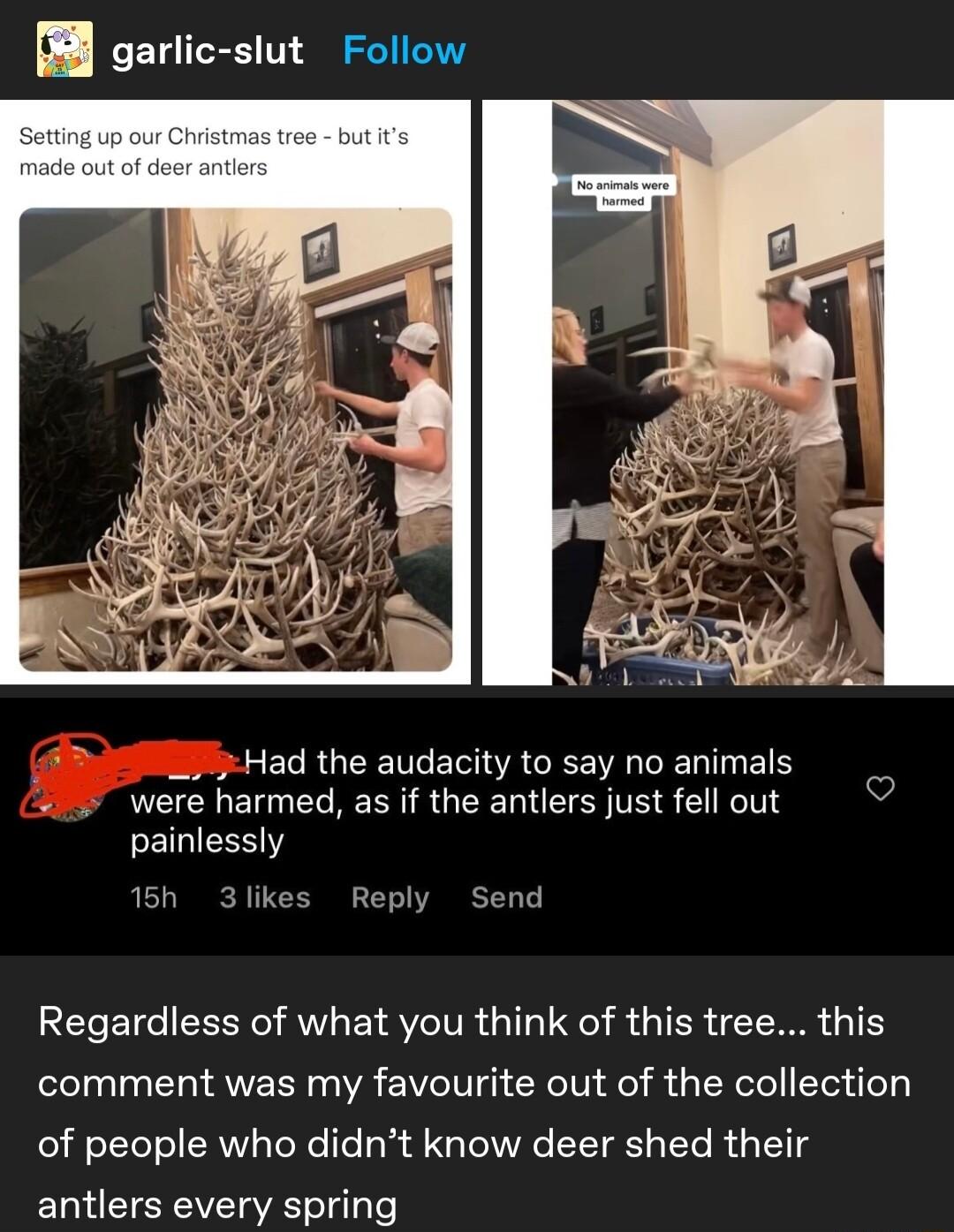 B garlic slut Follow 0 Had the audacity to say no animals were harmed as if the antlers just fell out painlessly 15h 3likes Reply Send Regardless of what you think of this tree this comment was my favourite out of the collection of people who didnt know deer shed their antlers every spring