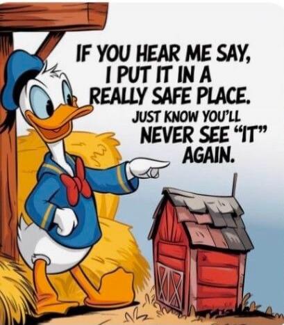 IF YOU HEAR ME SAY, I PUT IT IN A REALLY SAFE PLACE. JUST KNOW YOU'LL NEVER SEE 