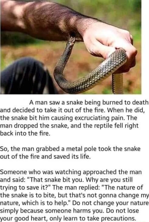 A man saw a snake being burned to death and decided to take it out of the fire When he did the snake bit him causing excruciating pain The man dropped the snake and the reptile fell right back into the fire So the man grabbed a metal pole took the snake out of the fire and saved its life Someone who was watching approached the man and said That snake bit you Why are you still trying to save it The