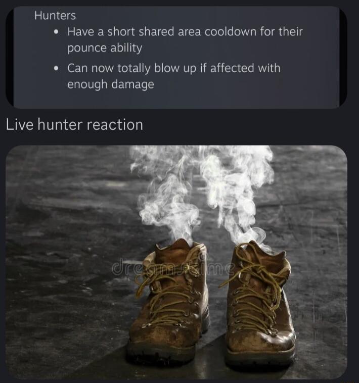 Hunters Have a short shared area cooldown for their pounce ability Can now totally blow up if affected with enough damage Live hunter reaction