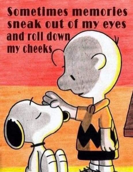 Sometimes memories sneak out of my eyes and roll down my cheeks