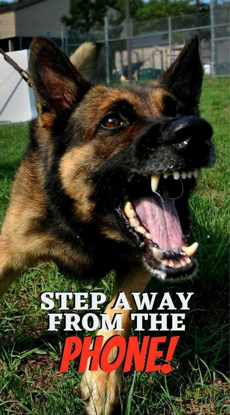 STEP AWAY FROM THE PHONE!