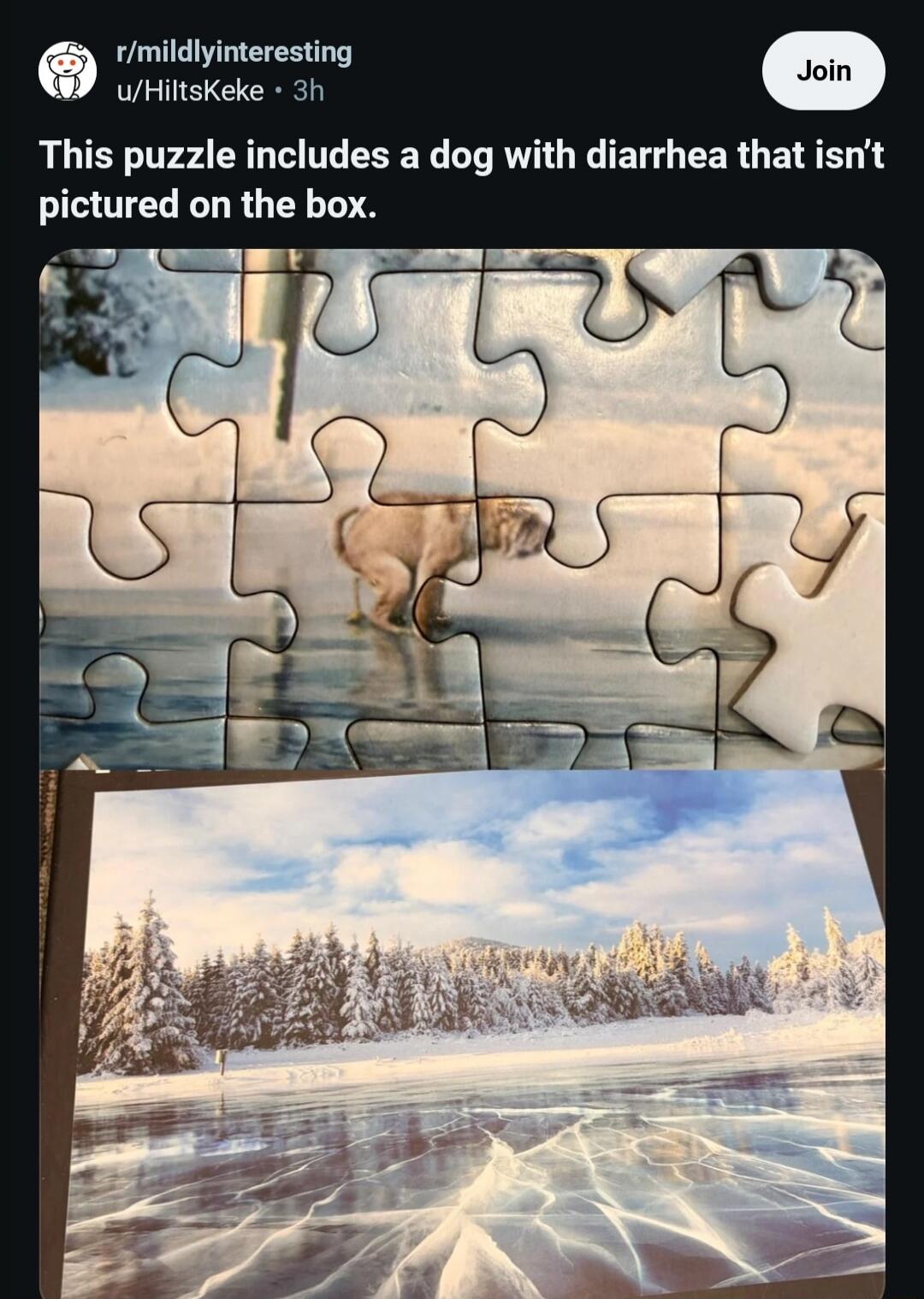 r/mildlyinteresting u/HiltsKeke • 3h Join This puzzle includes a dog with diarrhea that isn't pictured on the box.