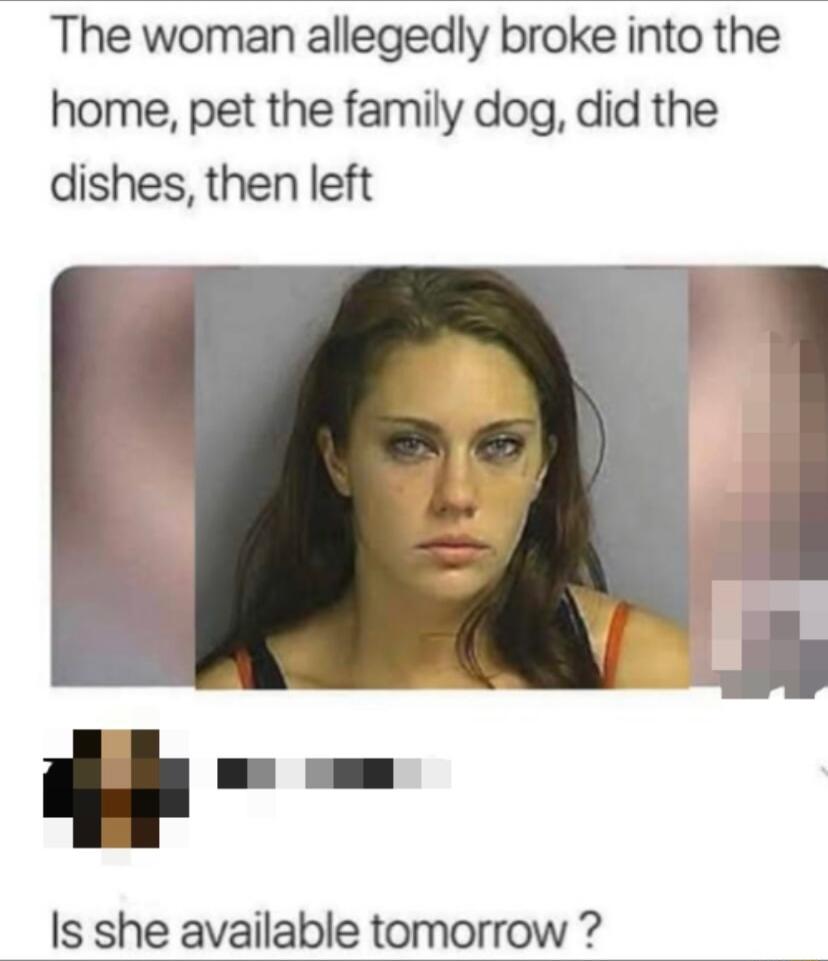 The woman allegedly broke into the home pet the family dog did the dishes then left Is she available tomorrow