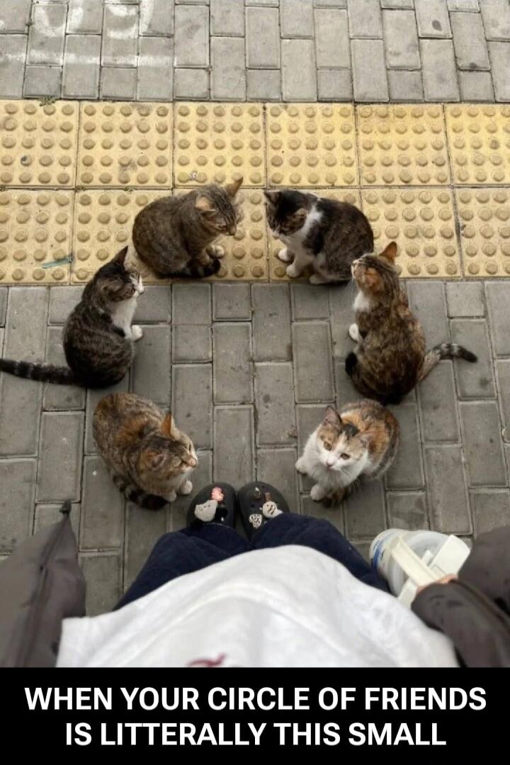 WHEN YOUR CIRCLE OF FRIENDS IS LITERALLY THIS SMALL