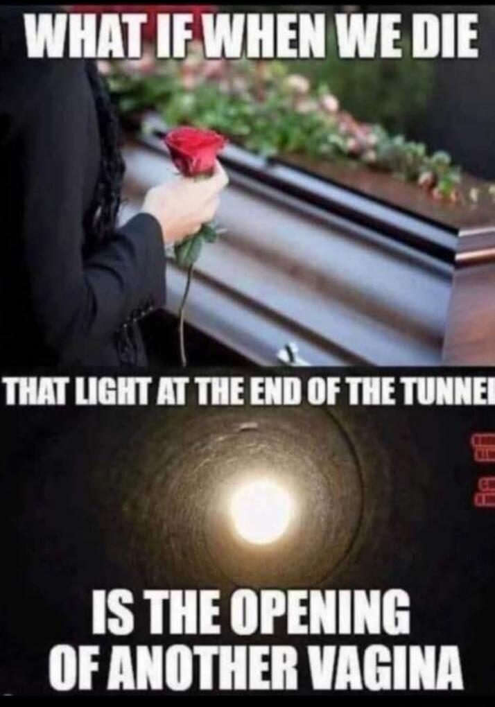 WHAT IF WHEN WE DIE THAT LIGHT AT THE END OF THE TUNNEL IS THE OPENING OF ANOTHER VAGINA