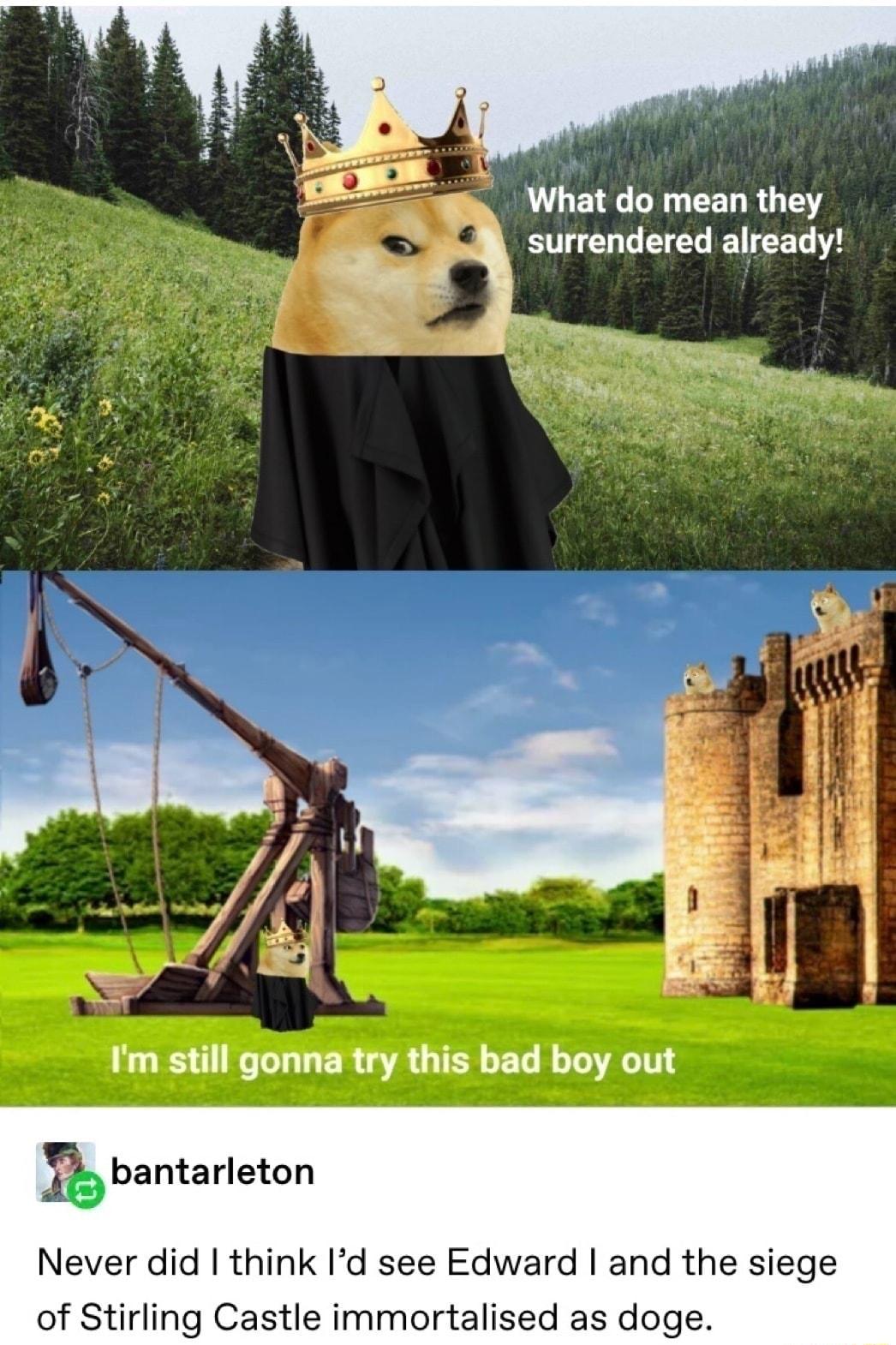 What do mean they surrendered already Im still gonna try this bad boy out mbantarleton Never did think Id see Edward and the siege of Stirling Castle immortalised as doge