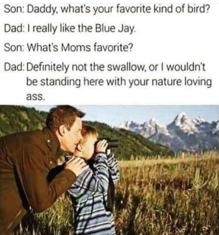 Son: Daddy, what's your favorite kind of bird?
Dad: I really like the Blue Jay.
Son: What's Moms favorite?
Dad: Definitely not the swallow, or I wouldn't be standing here with your nature loving ass.