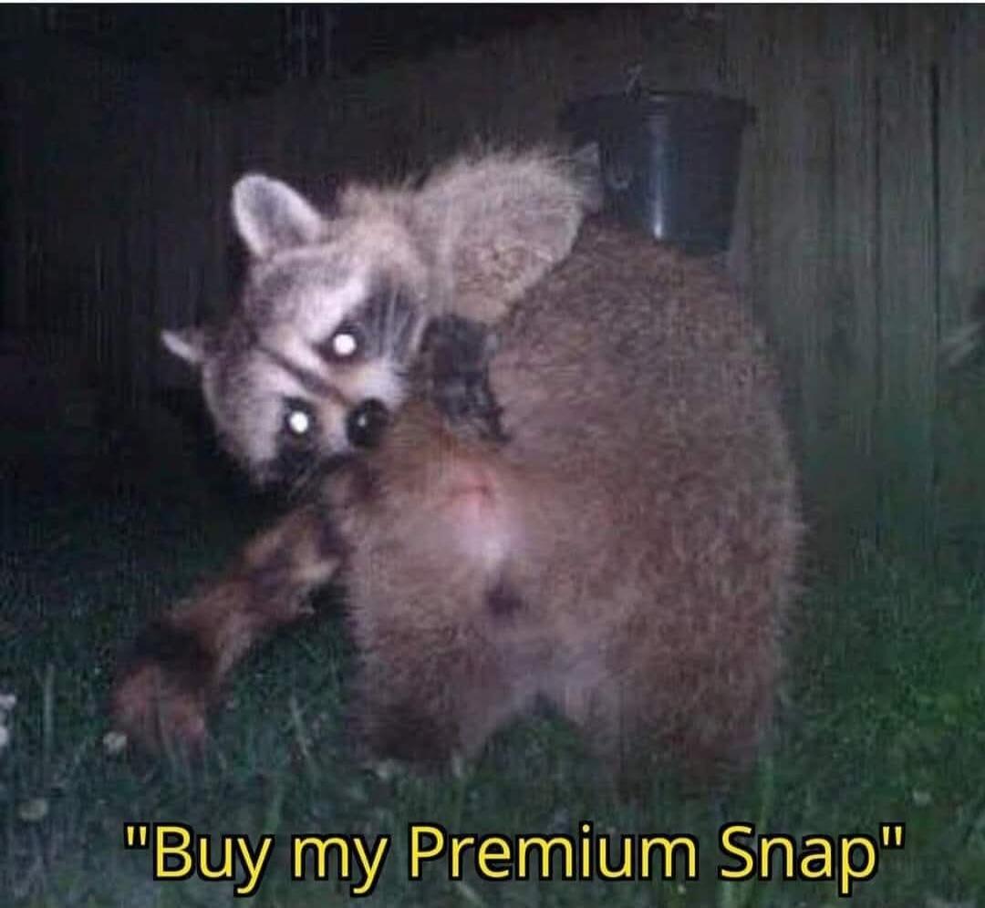 Buy my Premium Snap