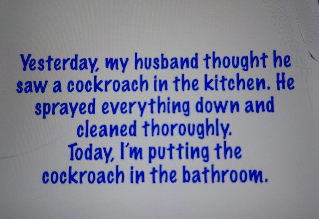 Yesterday, my husband thought he saw a cockroach in the kitchen. He sprayed everything down and cleaned thoroughly. Today, I'm putting the cockroach in the bathroom.