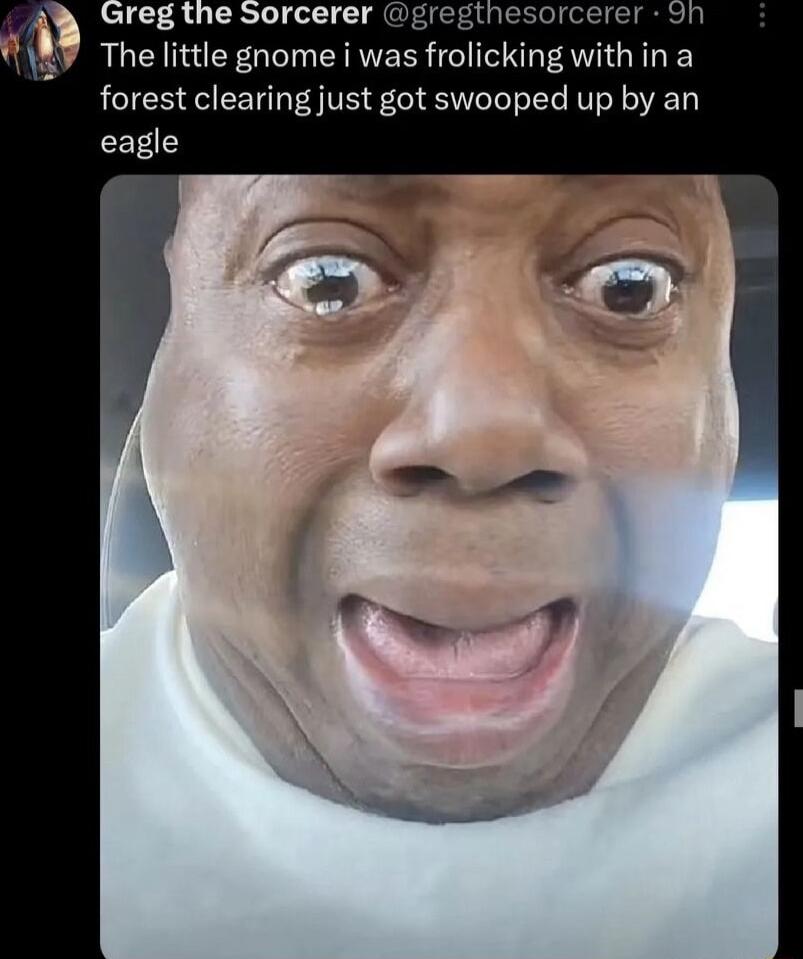 RLEINEEGIIN EIES frohckmg withina forest clearing just got swooped up by an eagle