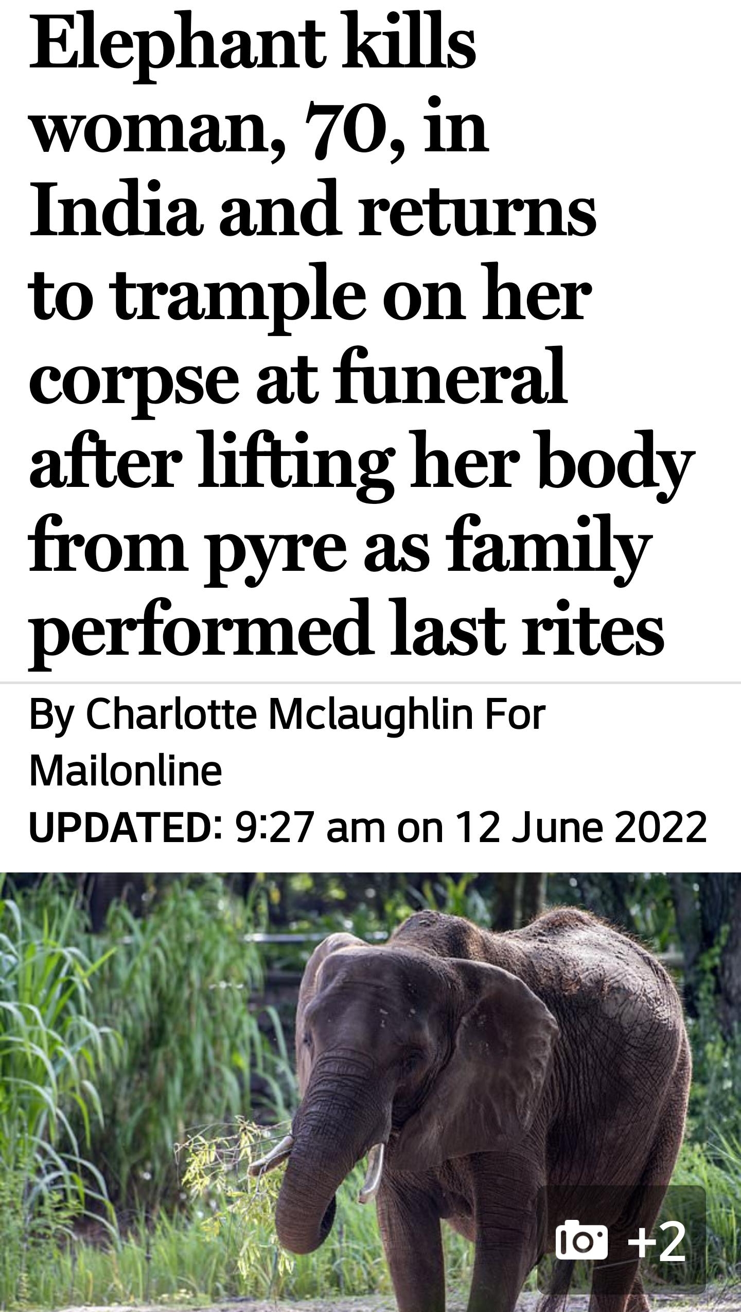 Elephant kills woman 70 in India and returns to trample on her corpse at funeral after lifting her body from pyre as family performed last rites By Charlotte Mclaughlin For Mailonline UPDATED 927 amon 12 June 2022