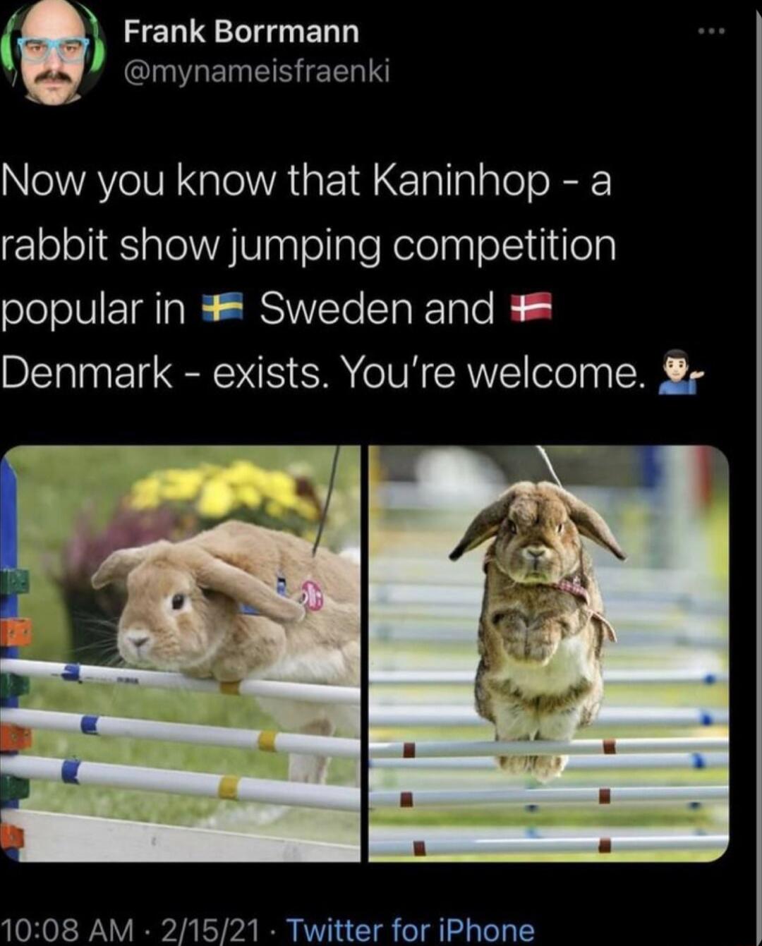 Frank Borrmann CLGEIMEINEERIN WAV oA GEIE ol lalaTol o R rabbit show jumping competition ololoJVI IR SRSt T e K Denmark exists Youre welcome 8 1008 AM 21521 Twitter for iPhone