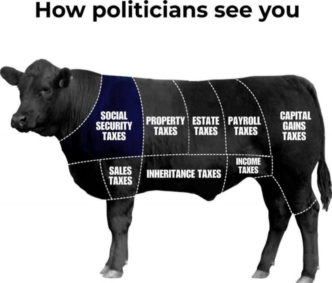 How politicians see you
Social Security Taxes; Property Taxes; Estate Taxes; Payroll Taxes; Capital Gains Taxes; Sales Taxes; Inheritance Taxes; Income Taxes