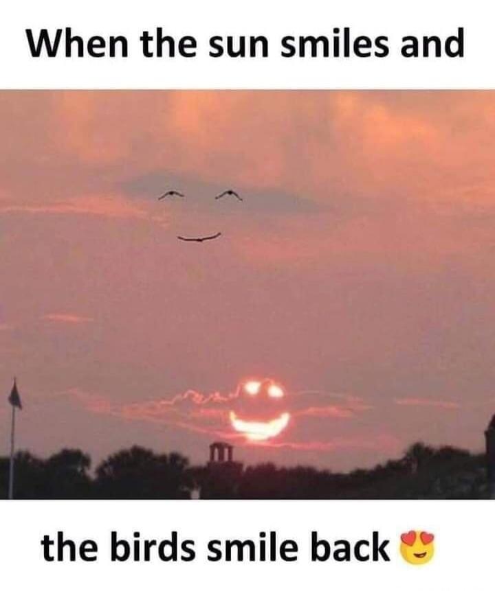 When the sun smiles and the birds smile back ❤️