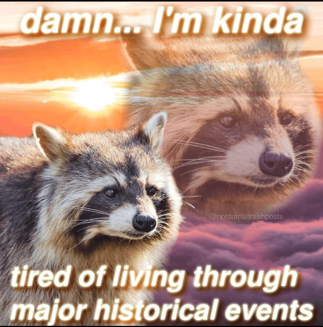 P A tired of lifing through major historical events