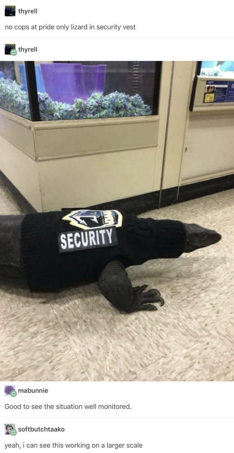thyrell no cops at pride only lizard in security vest r thyrell mabunnie Good to see the situation well monitored r softbutchtaako yeah i can see this working on a larger scale