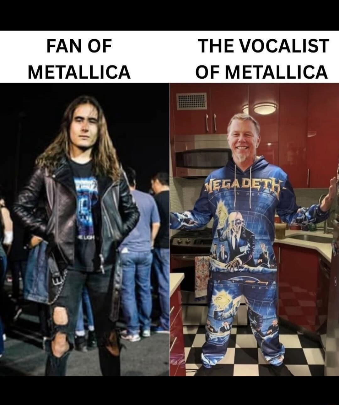 FAN OF METALLICA THE VOCALIST OF METALLICA