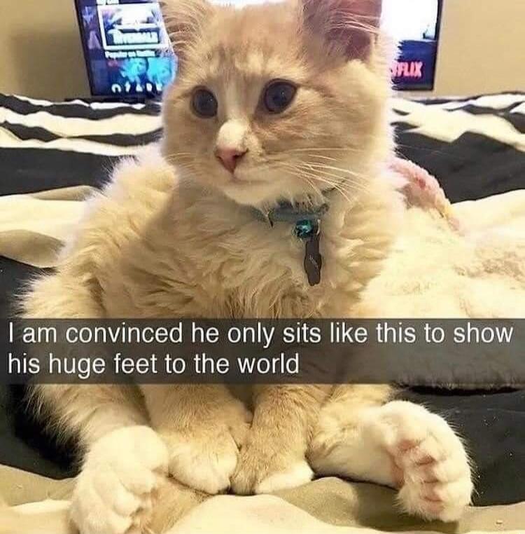 am convinced he only sits like this to show his huge feet to the world