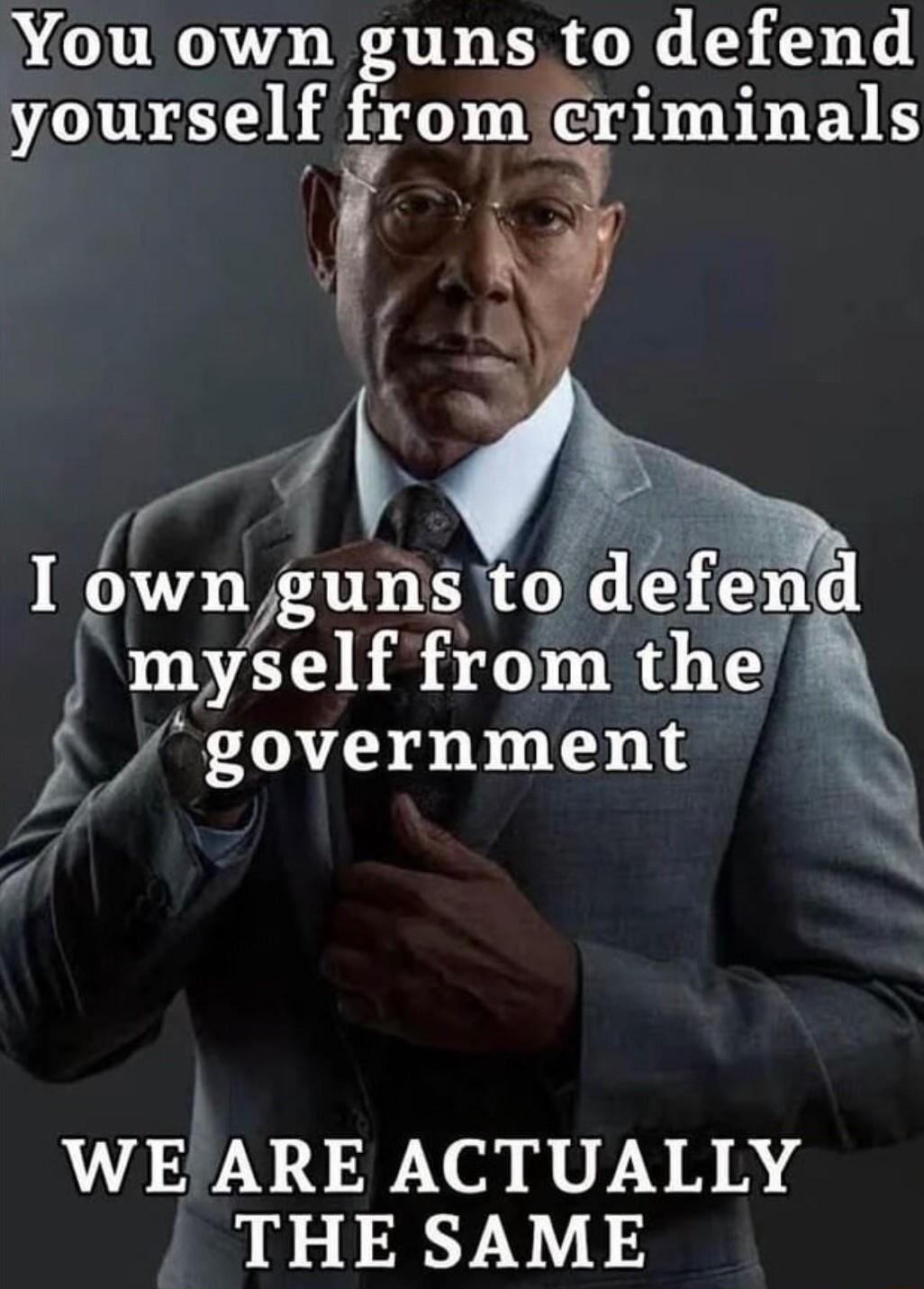 You own guns to defend yourself from eriminals I wn gunstol defend s myself from the N 14 J government 71 WE ARE ACTUALLY THE SAME