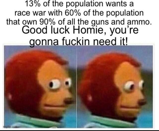 o of the population wants a race war with 60 of the population own 90 of all the guns and ammo Good luck Homie youre